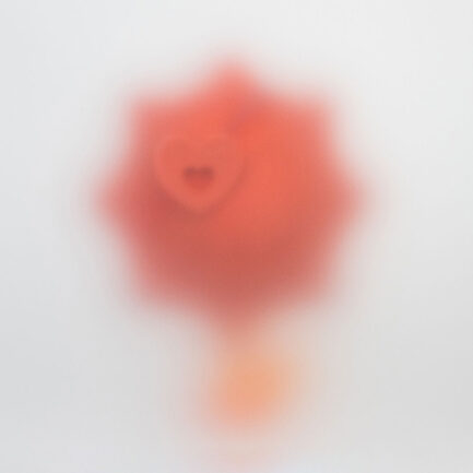 Il Leggendario Pirata in Erba / Art Toy