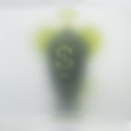 Il Re di Garden Park / Art Toy