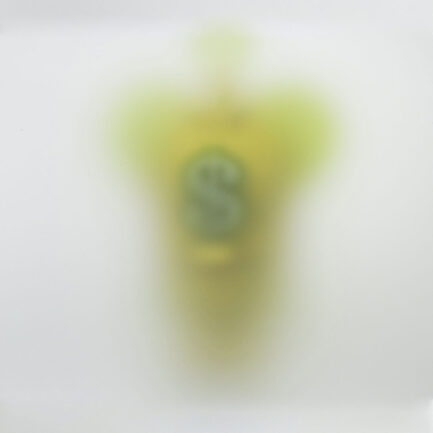 La Regina di Garden Park / Art Toy